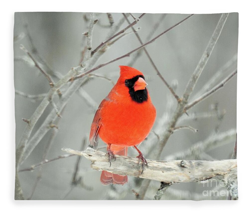 Cardinal Fleece Blanket featuring the photograph Cardinal in Winter by Eunice Miller