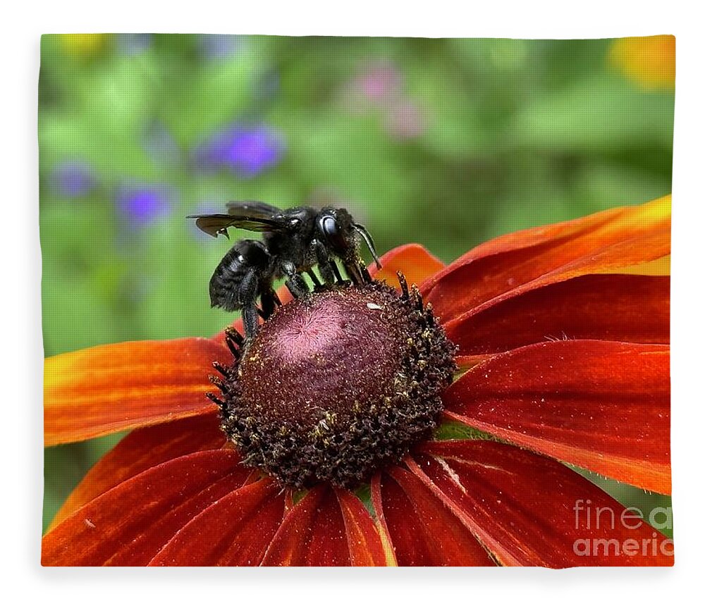 Carpenter Fleece Blanket featuring the photograph Carpenter Bee 2 by Catherine Wilson
