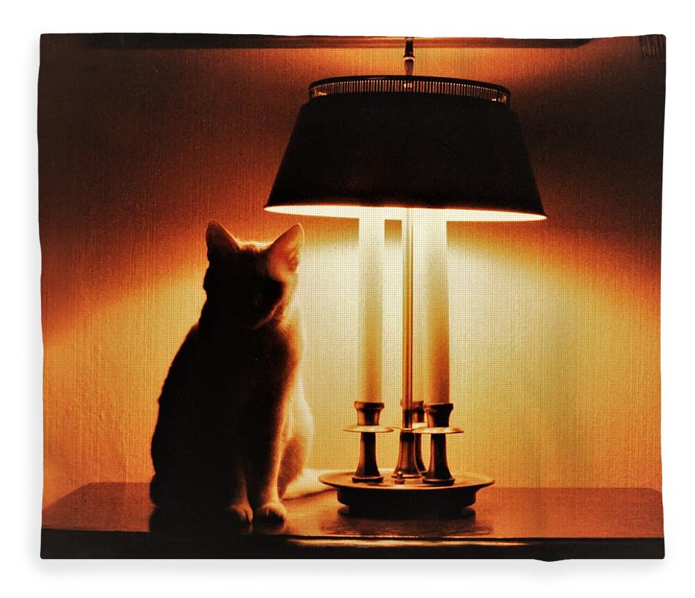 Cat Lamp Desk Light Shadow Fleece Blanket featuring the photograph Cat Lamp by John Linnemeyer