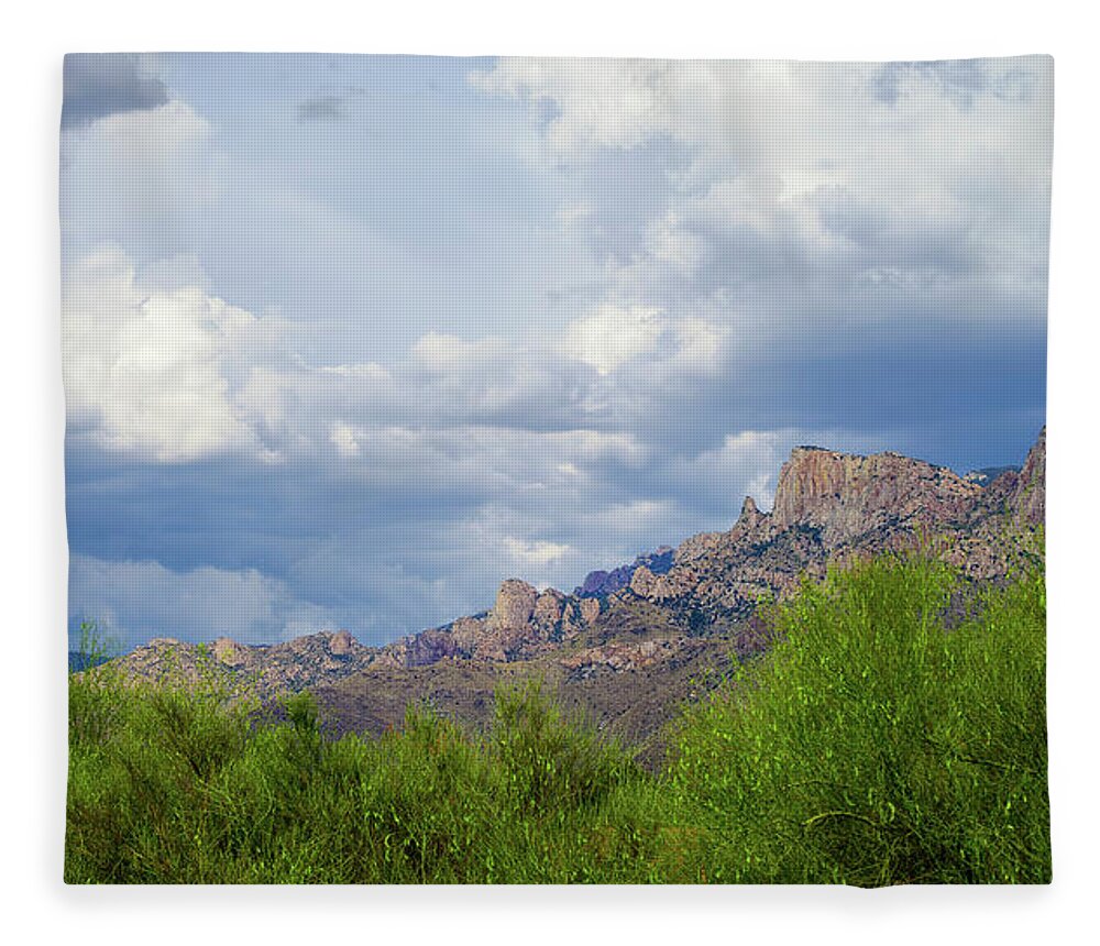 Arizona Fleece Blanket featuring the photograph Catalina Monsoon 25108 by Mark Myhaver
