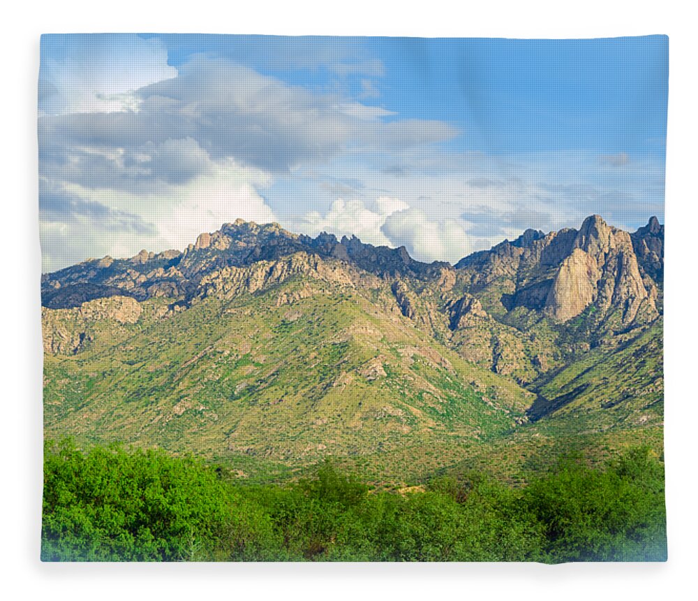 Arizona Fleece Blanket featuring the photograph Catalina Mountains P24861-L by Mark Myhaver