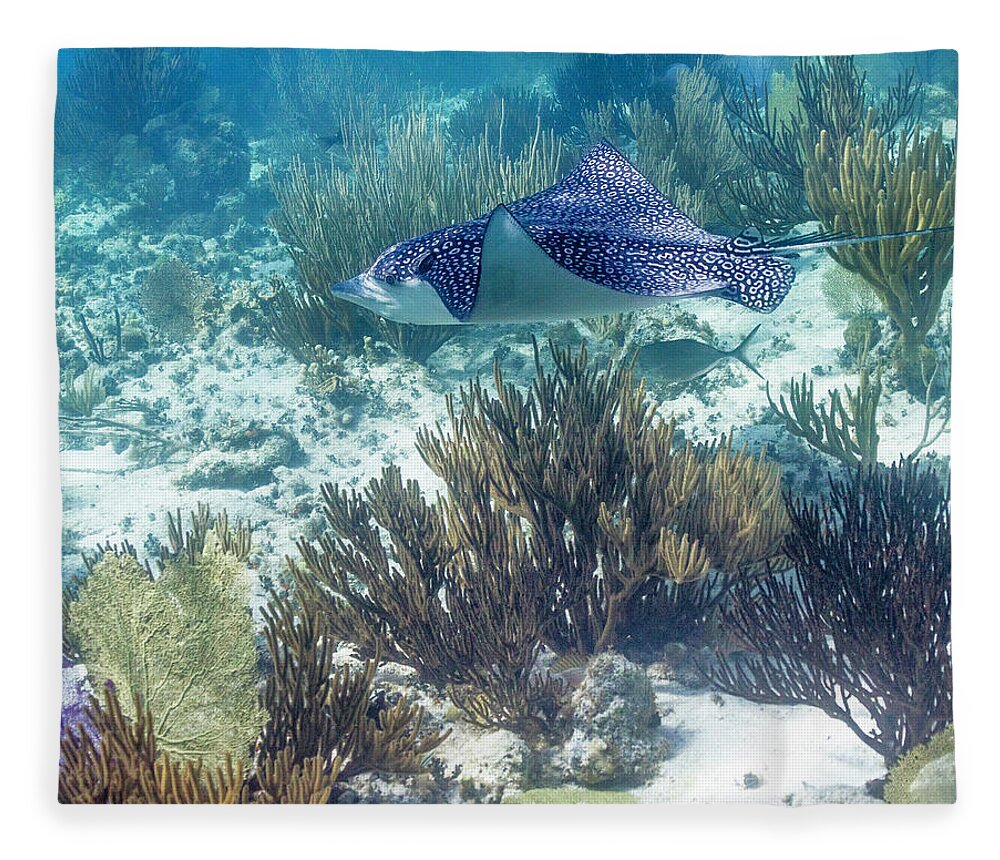Grand Cayman Fleece Blanket featuring the photograph Catch Me If You Can by Lynne Browne