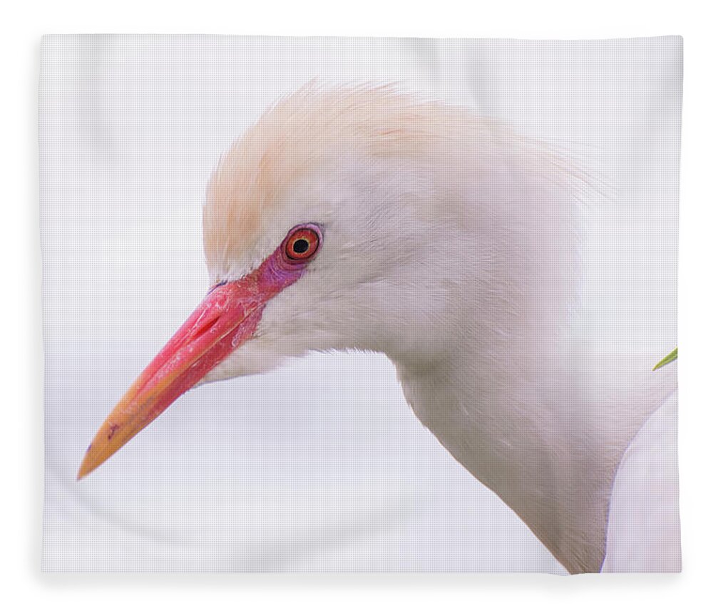 Cattle Fleece Blanket featuring the photograph Cattle Egret by Carolyn Hutchins