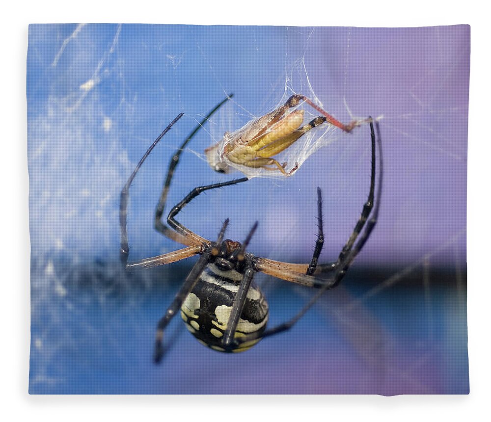 Garden Spider Fleece Blanket featuring the photograph Caught in the Web by Melissa Southern