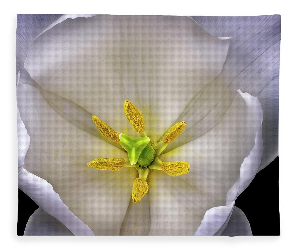 White Tulip Fleece Blanket featuring the photograph Center Of A Tulip by Endre Balogh