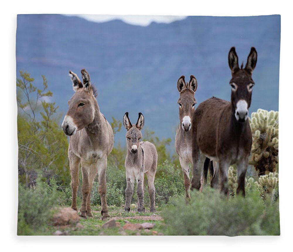 Wild Burro Fleece Blanket featuring the photograph Center of Attention by Mary Hone