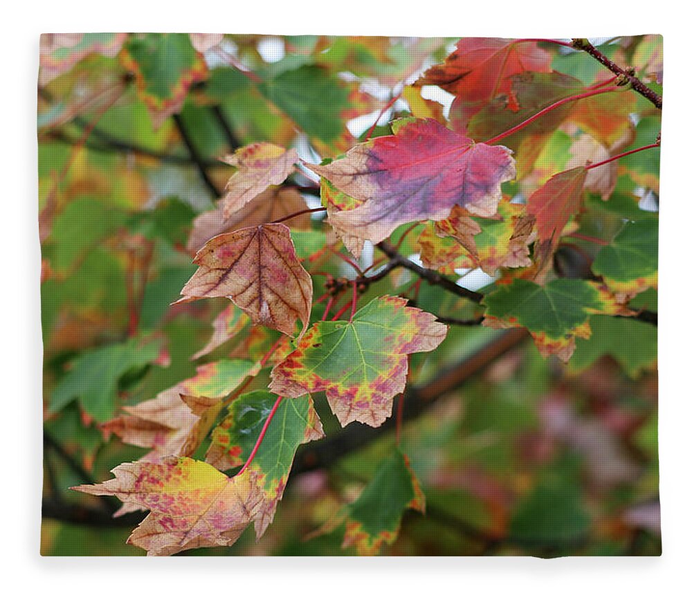 Leaves Fleece Blanket featuring the photograph Change of the Season by Mary Anne Delgado