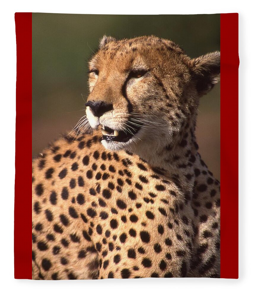 Cheetah Fleece Blanket featuring the photograph Cheetah Profile by Russ Considine