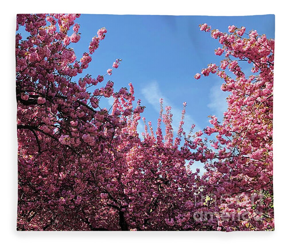 Cherry Blossoms Fleece Blanket featuring the photograph Cherry Blossoms - Blue in the Pink - Floral Gift Idea by Onedayoneimage Photography