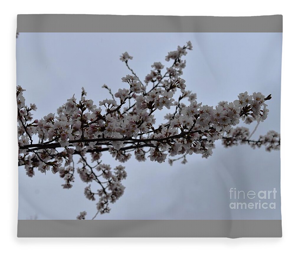 Cherry Blossoms Fleece Blanket featuring the photograph Cherry Blossoms Tree Branch by Stefania Caracciolo