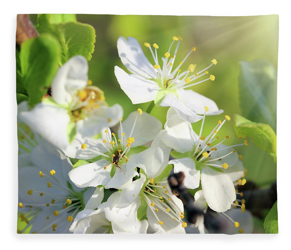 Spring Fleece Blanket featuring the photograph Cherry Tree Flowers Macro by Mikhail Kokhanchikov