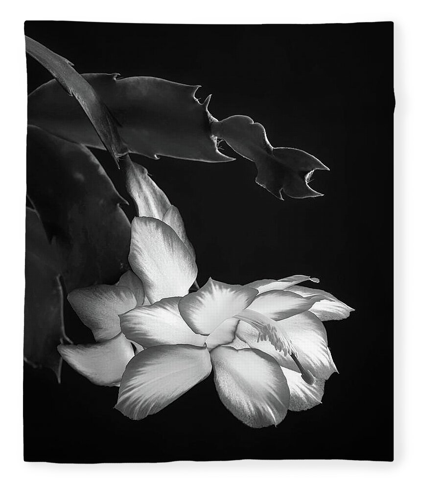 Christmas Fleece Blanket featuring the photograph Christmas Cactus 8938bw by Jerry Lohman