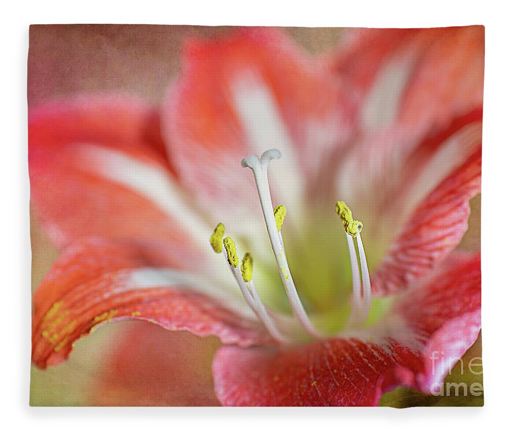 Pink Fleece Blanket featuring the photograph Christmas Flower by Amy Dundon