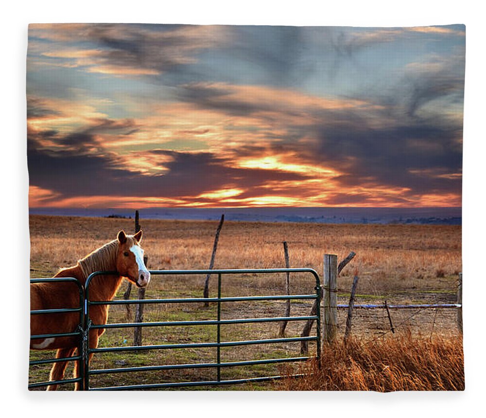 Horse Fleece Blanket featuring the photograph Christmas Sunset by Rod Seel