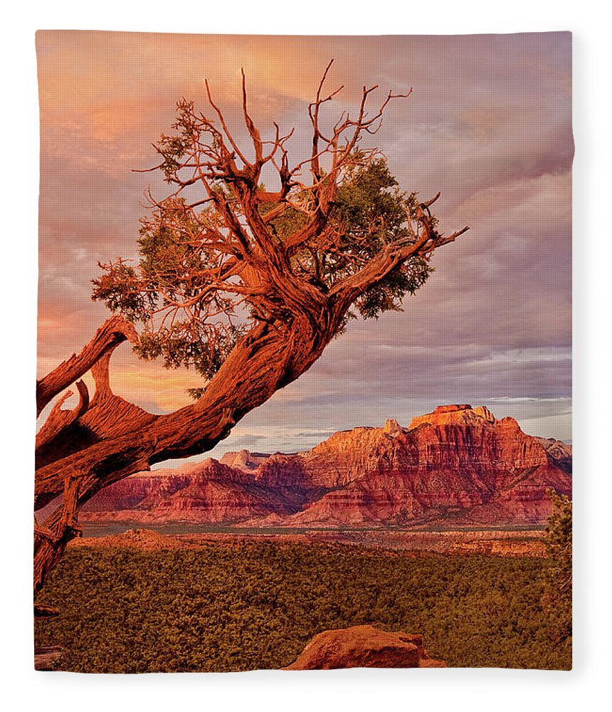 Dave Welling Fleece Blanket featuring the photograph Clearing Storm And West Temple South Of Zion National Park by Dave Welling