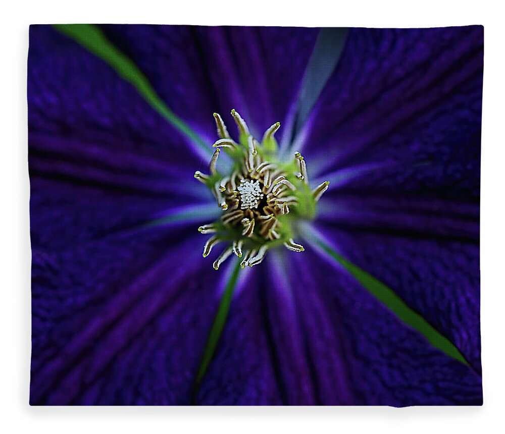 Clematis Fleece Blanket featuring the photograph Clematis Floral Heart by William Jobes