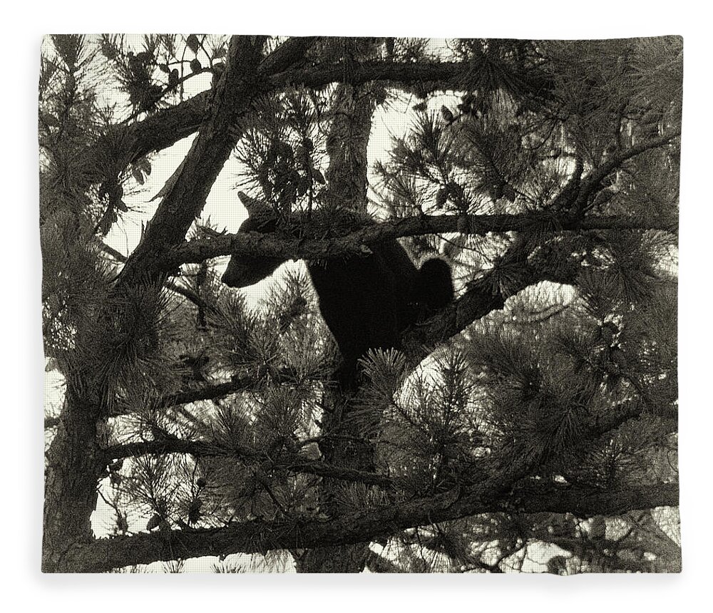 Bear Fleece Blanket featuring the photograph Climbing Bear 4 by Phil Perkins