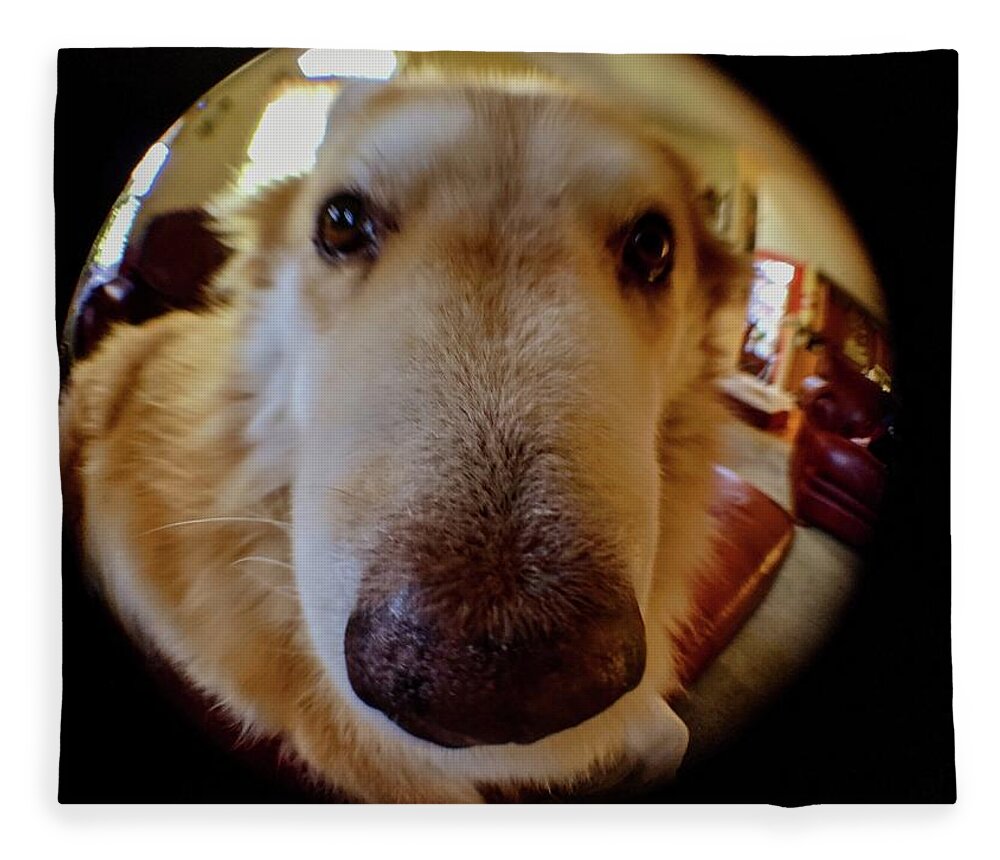 Fleece Blanket featuring the photograph Close In Doggy by Brad Nellis