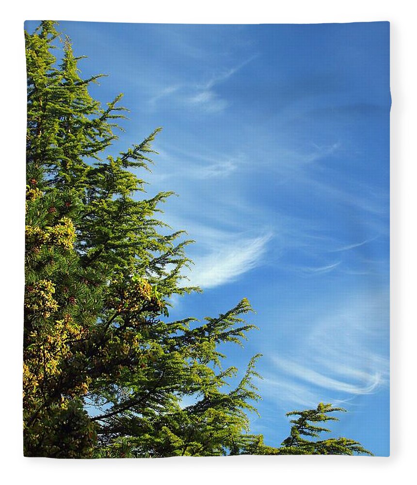 Clouds Fleece Blanket featuring the photograph Clouds Imitating Trees by Kimberly Furey