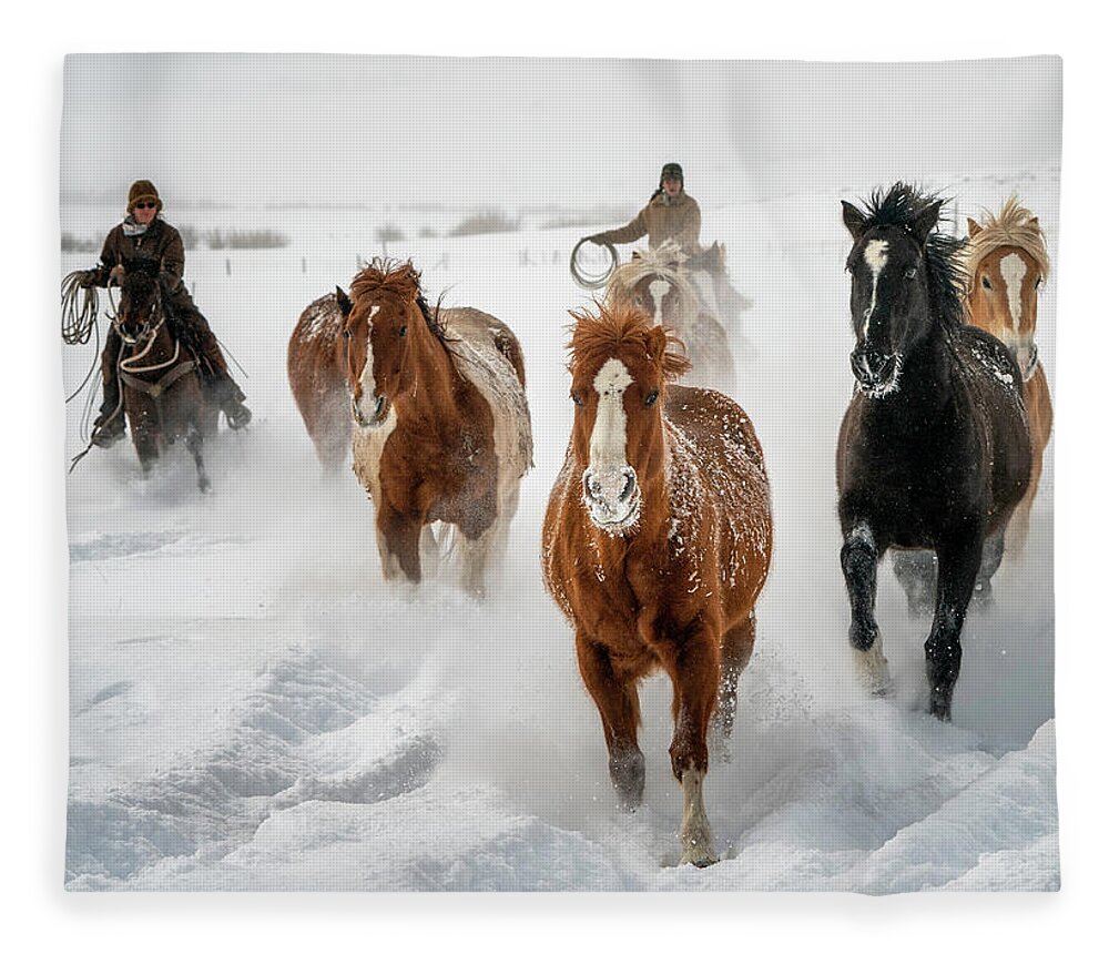 Horses Fleece Blanket featuring the photograph Colorado Horses in Pure White Snow by David Soldano