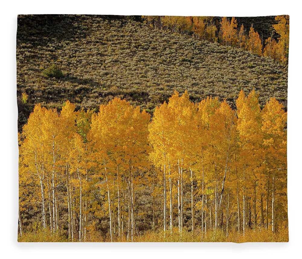 Colorado Fleece Blanket featuring the photograph Colorado Rockies by Maresa Pryor-Luzier