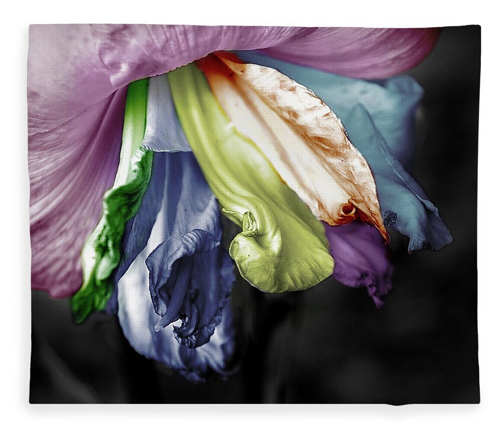 Lily Fleece Blanket featuring the photograph Colored LIly 1 by M Kathleen Warren