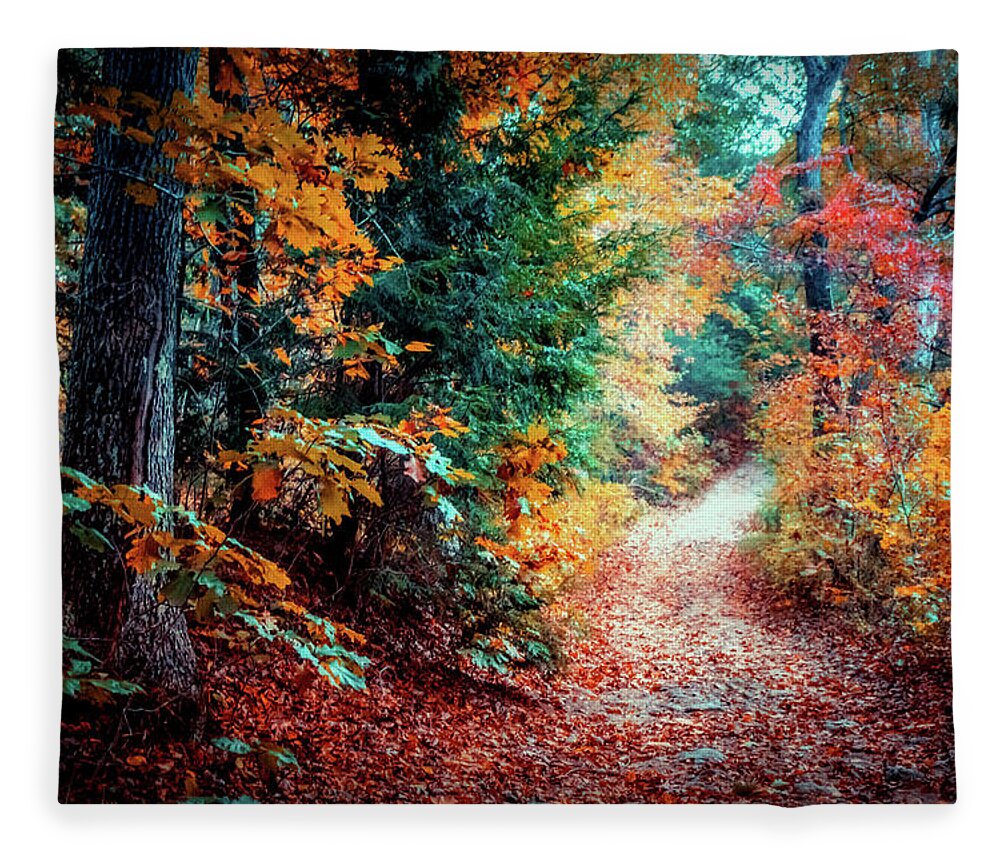 Foliage Fleece Blanket featuring the photograph Colorful Autumn path in the woods by Lilia S