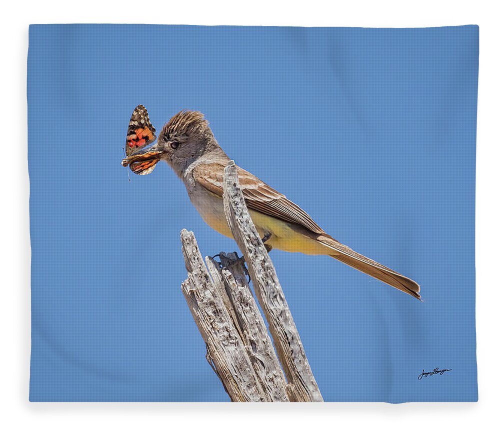 Ash-throated Flycatcher Fleece Blanket featuring the photograph Colorful Catch by Jurgen Lorenzen