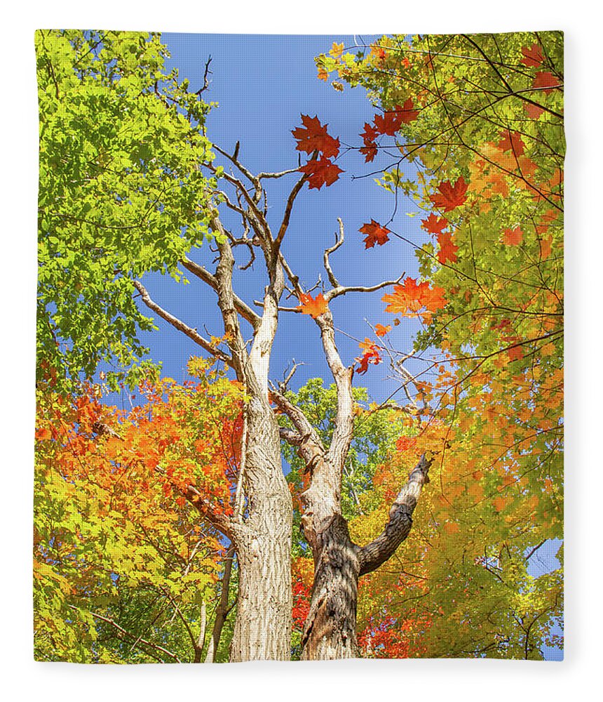 Autumn Fleece Blanket featuring the photograph Colorful Fall in Upstate NY by Auden Johnson