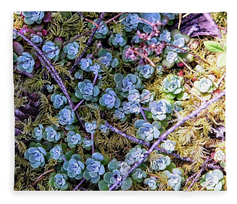 Background Fleece Blanket featuring the photograph Colorful Forest Floor by David Desautel