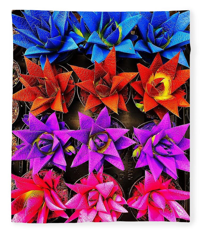  Fleece Blanket featuring the photograph Colorful succulent by Stephen Dorton