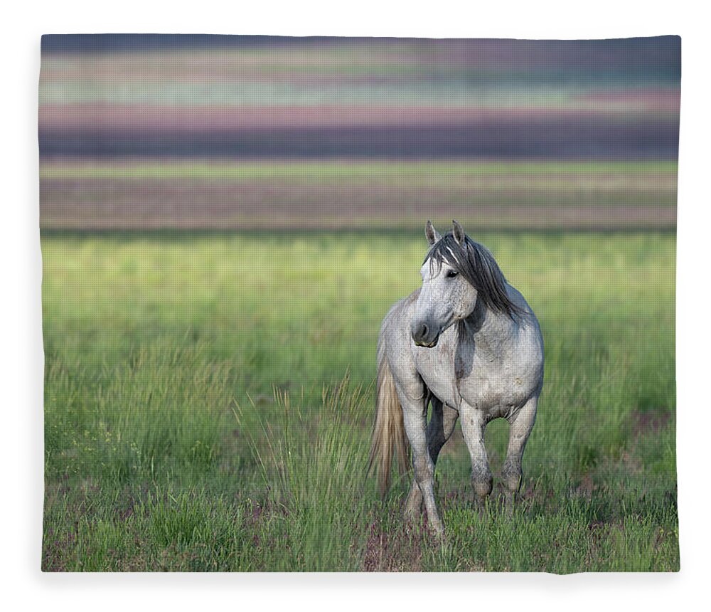 Wild Horse Fleece Blanket featuring the photograph Colors by Mary Hone