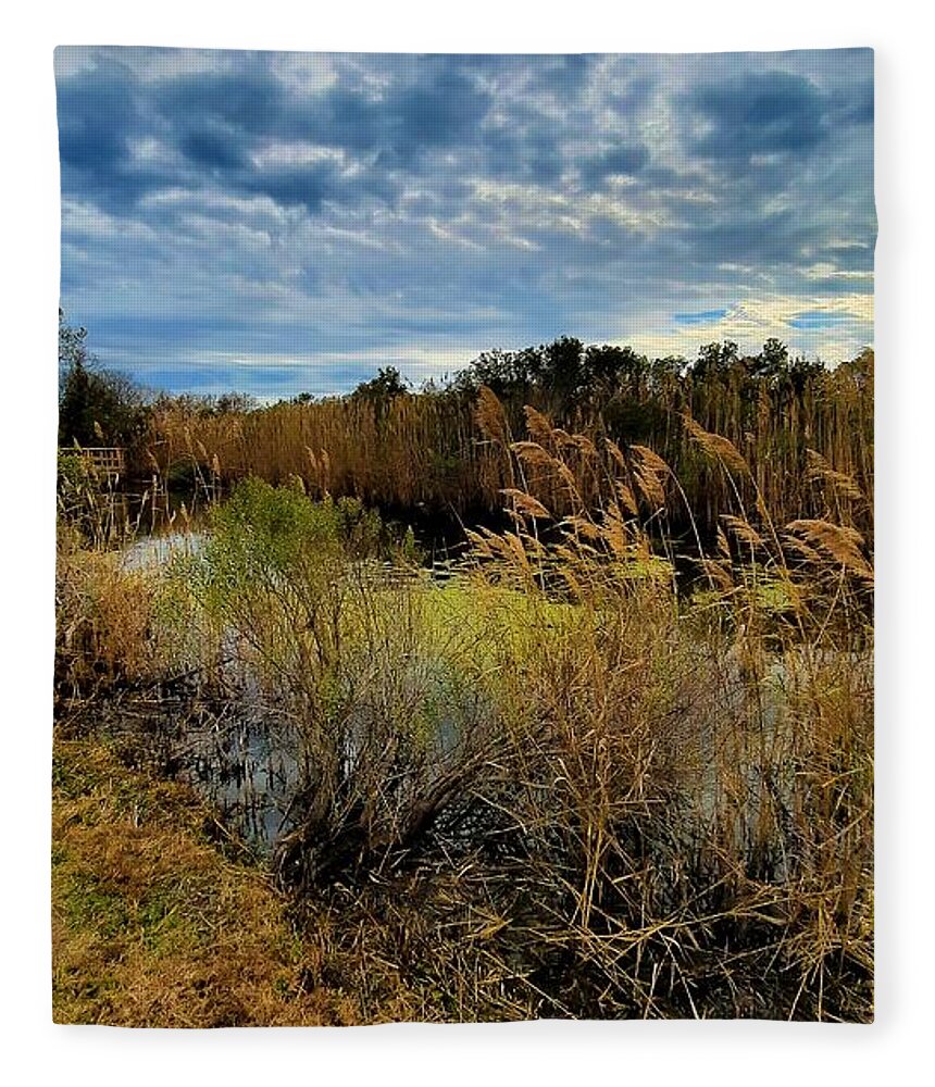 Marsh Fleece Blanket featuring the photograph Colors of the Marsh by Ola Allen