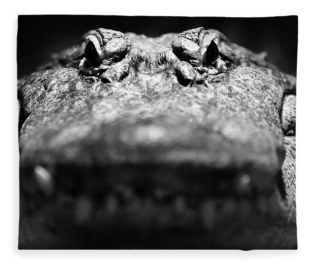 Reptile Fleece Blanket featuring the photograph Come A Little Closer by Lens Art Photography By Larry Trager