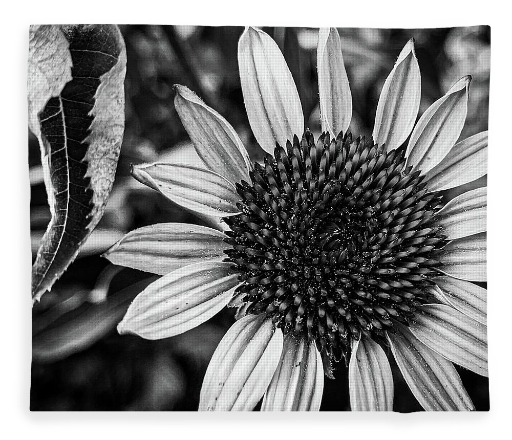 Coneflower Fleece Blanket featuring the photograph Coneflower in black and white by Jim Feldman