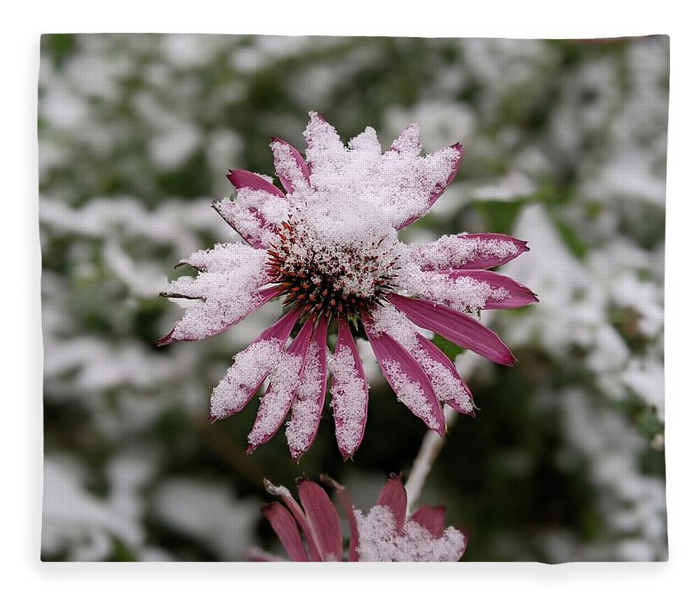 Snow Fleece Blanket featuring the photograph Coneflower in the snow by Lisa Mutch