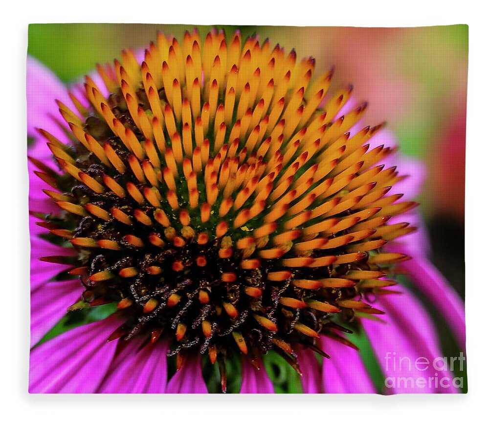 Flower Fleece Blanket featuring the photograph Coneflower by Seth Betterly