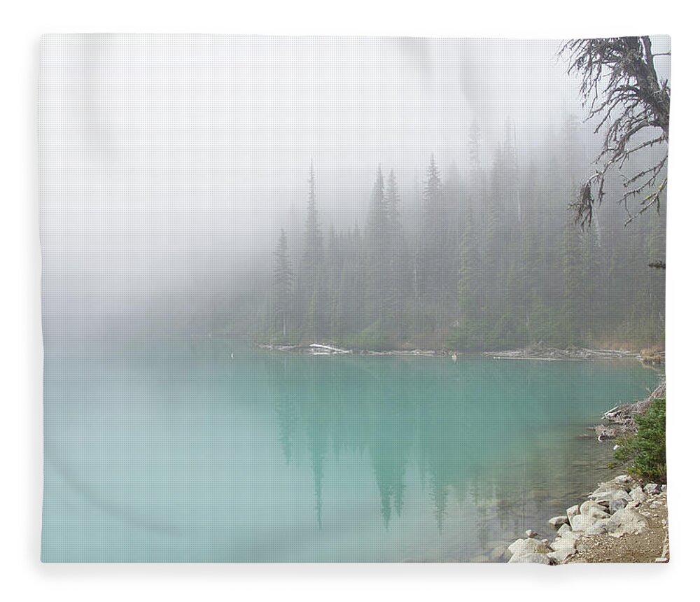 British Columbia Fleece Blanket featuring the photograph Conifer snag and morning mist by Steve Estvanik