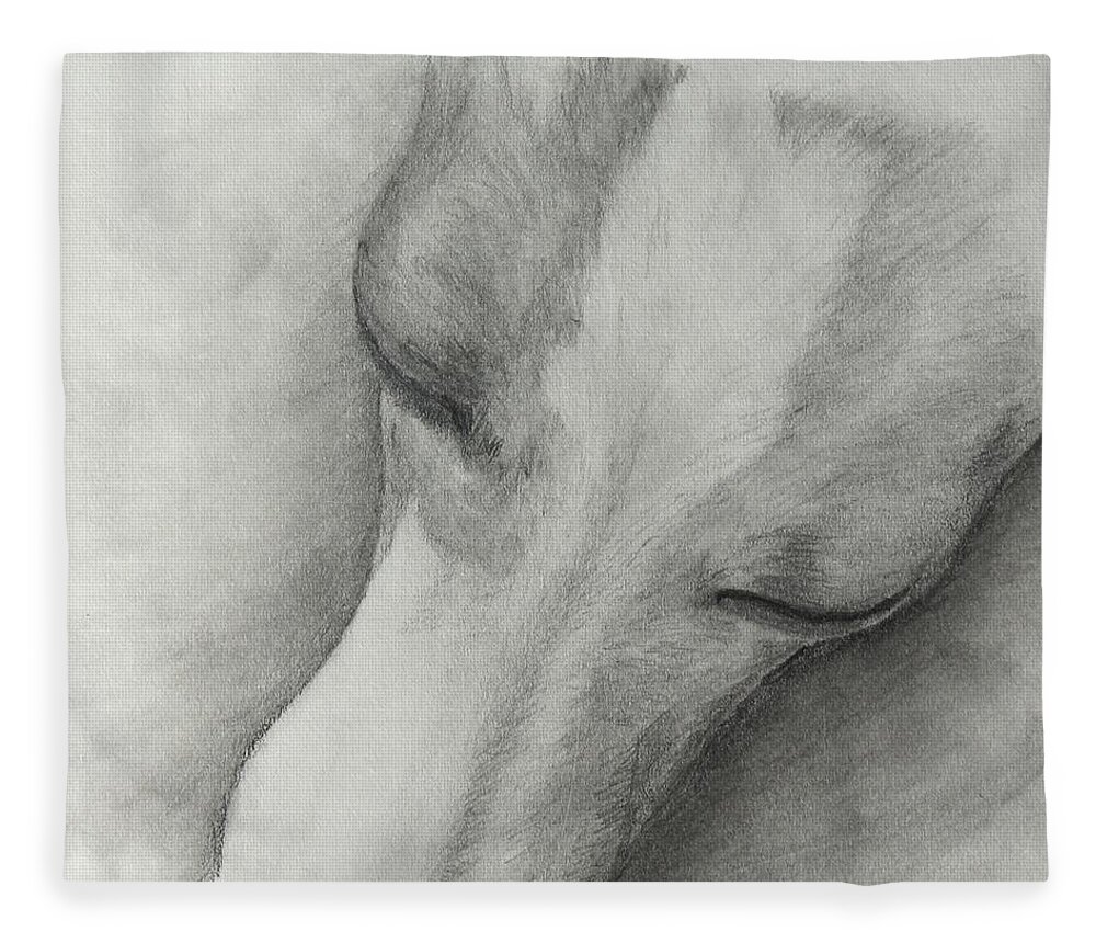 Italian Greyhound Fleece Blanket featuring the drawing Comfy by Heather E Harman