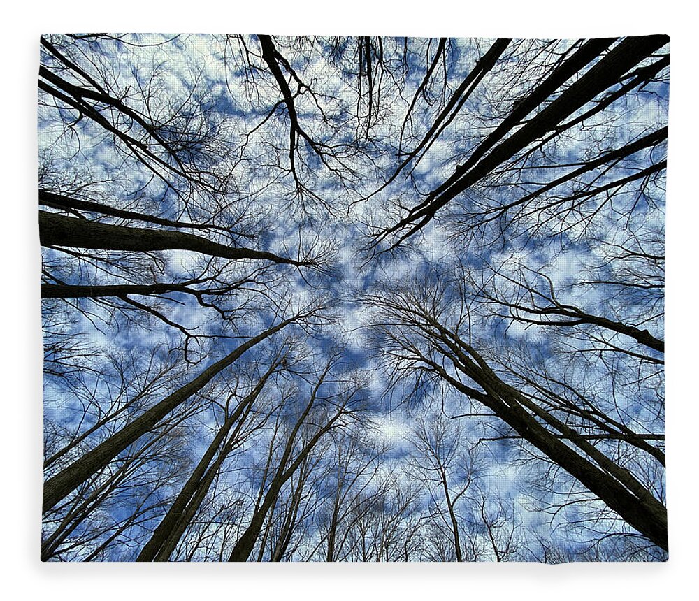 Forest Fleece Blanket featuring the photograph Convergence of the Elders - 2 of 3 - Straight up view in forest with altocumulus clouds by Peter Herman