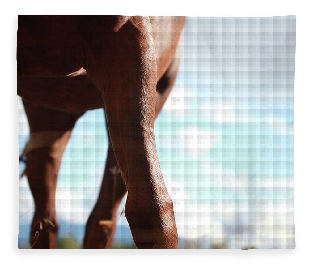 Autumn Fleece Blanket featuring the photograph Copper Legs by Listen To Your Horse