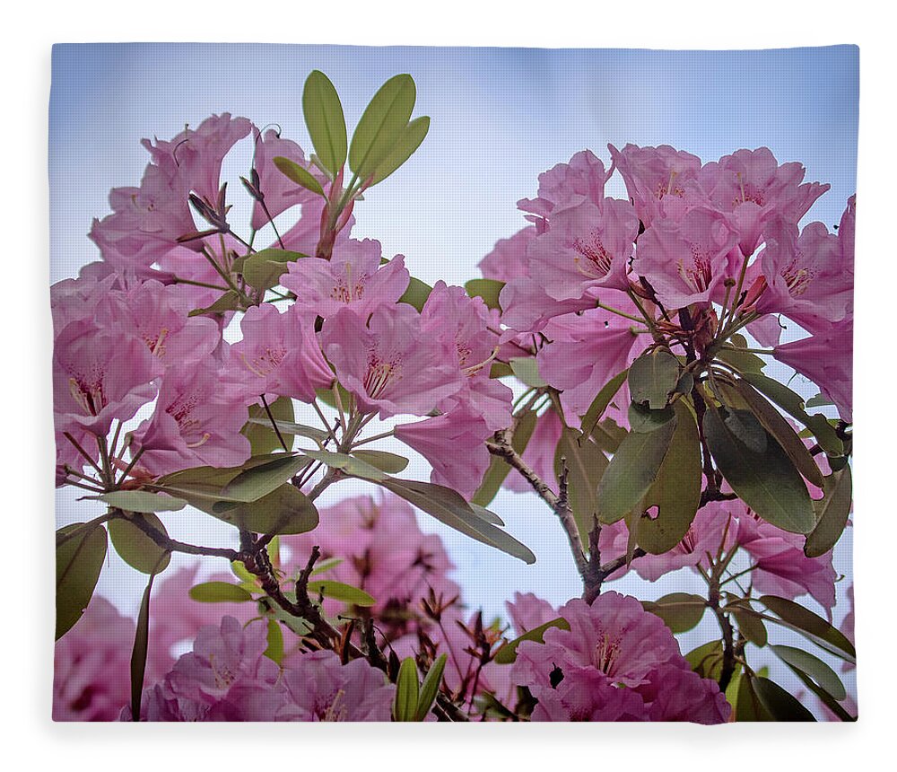 Rhododendron Fleece Blanket featuring the photograph Cornell Botanic Gardens #6 by Mindy Musick King