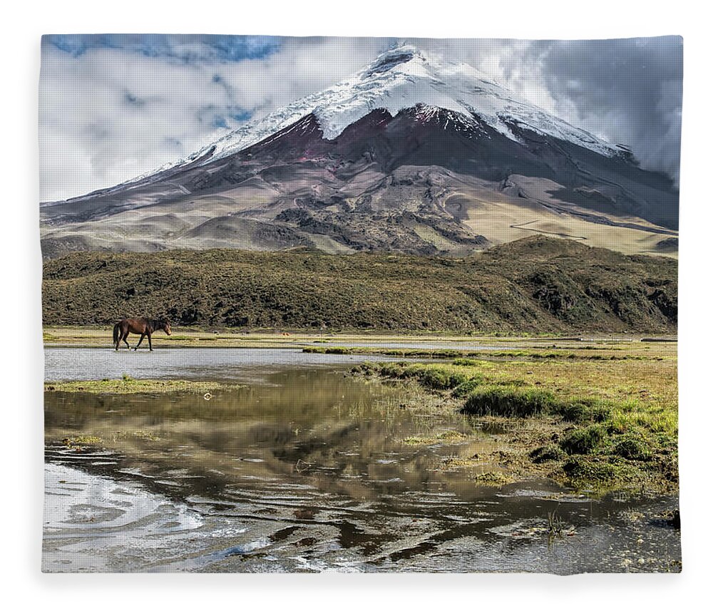Andes Fleece Blanket featuring the photograph Cotopaxi Peak reflected in Limpiopungo lake by Henri Leduc