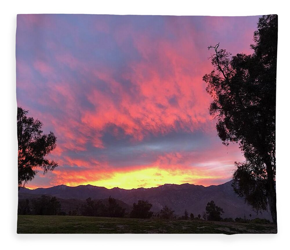 Landscape Fleece Blanket featuring the photograph Cotton Candy Sky, III by Leslie Porter