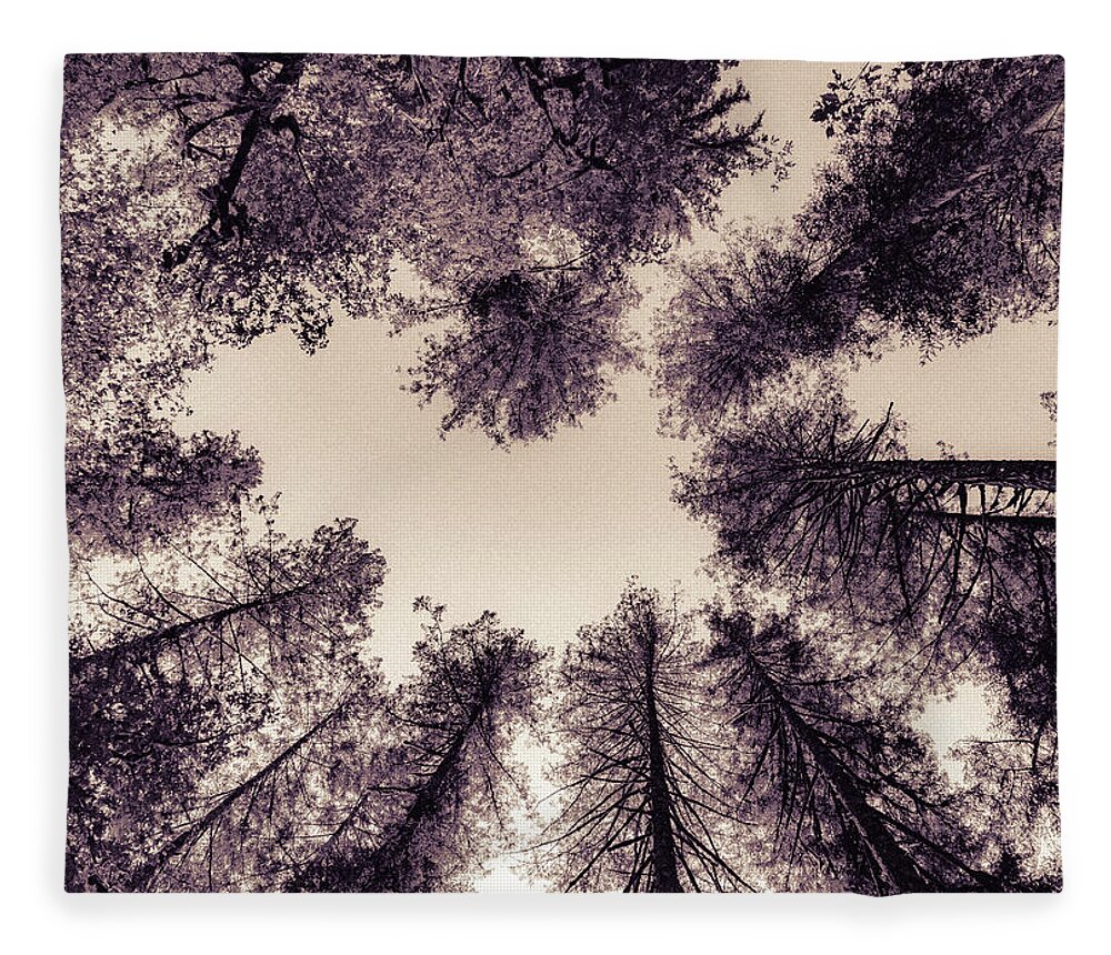 Trees Fleece Blanket featuring the photograph Council of Trees by Ada Weyland
