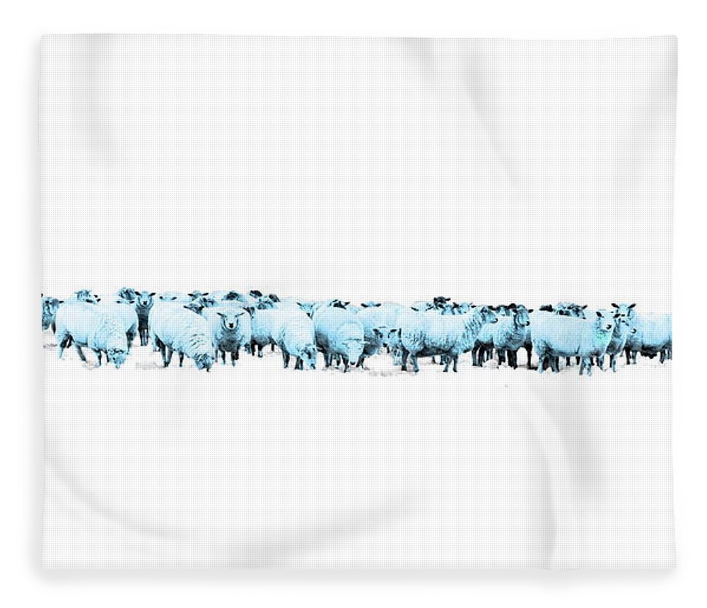 Sheep Fleece Blanket featuring the photograph Counting Blue Sheep for Boys Room by Andrea Kollo