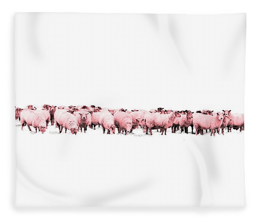 Sheep Fleece Blanket featuring the photograph Counting Pink Sheep for Girls Room by Andrea Kollo