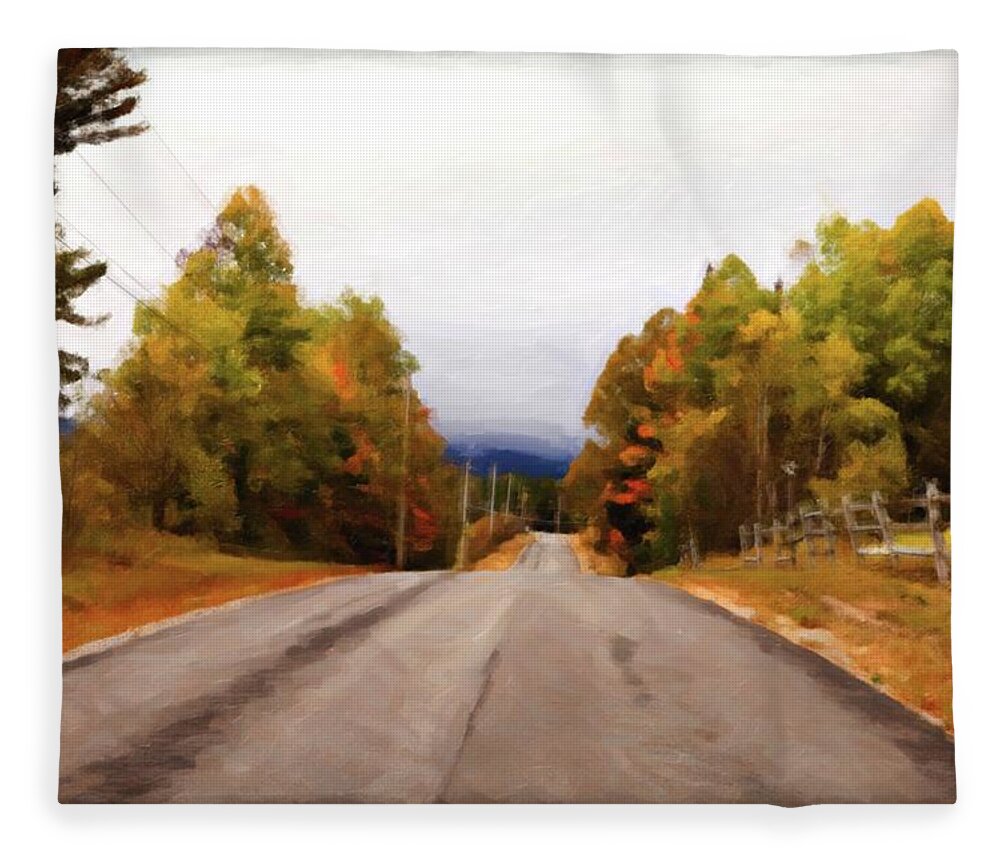 Rural Fleece Blanket featuring the photograph Country Road in Fall by Carolyn Ann Ryan