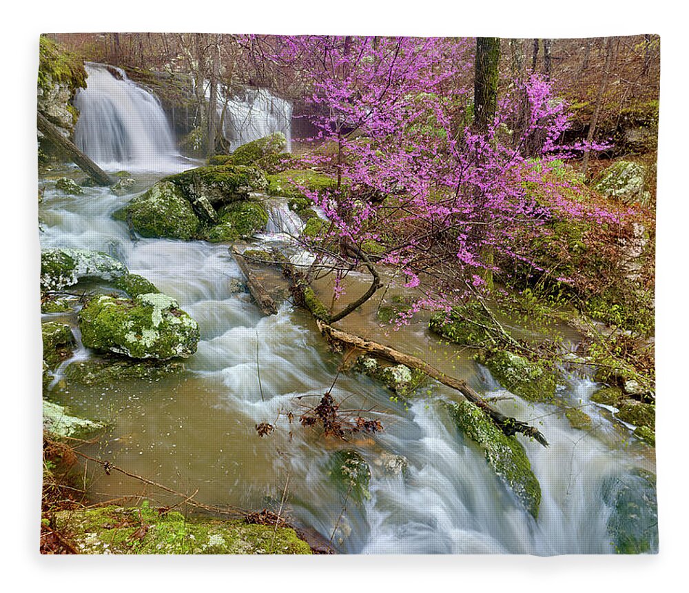 Spring Fleece Blanket featuring the photograph Coward's Hollow Shut-ins II by Robert Charity