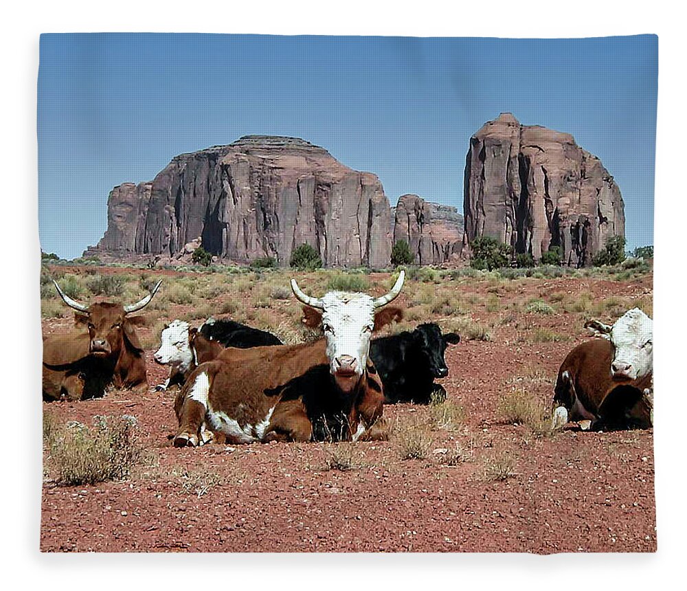 Monument Valley Fleece Blanket featuring the photograph Cows in the Mittens by Louis Dallara